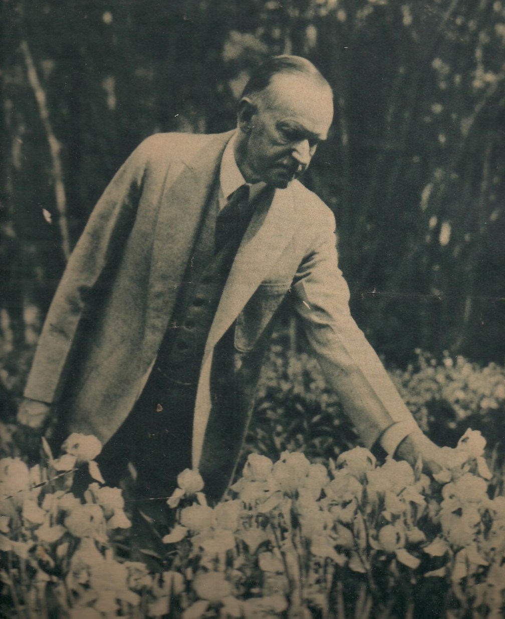 cc retired at beeches 001