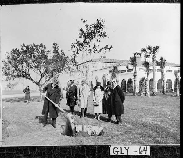 Sea_Island_Dec_1928_President_Calvin_Coolidge_tree_planting_ceremony_The_tree_known_as_Constitution_Oak_spent_Christmas_holidays_with_Howard_D_Coffi_on_Sapelo_Island